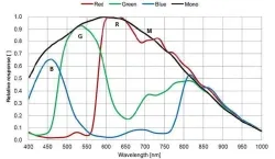 MER2-302-37GM(2048&times;1536,GigE,Mono)