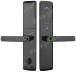 Smart door lock A81