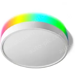 Smart lamps ZJ-BWBL-RGBWW-24W